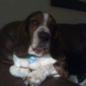 Meet your Posher, Brandon